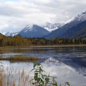 Meet your Posher, Wanda